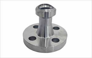 SS 304L Nipolet Flanges Suppliers
