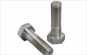 Steel 316L Bolt Manufacturer