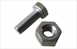 Steel 316L Hex Nut & Bolt Manufacturer